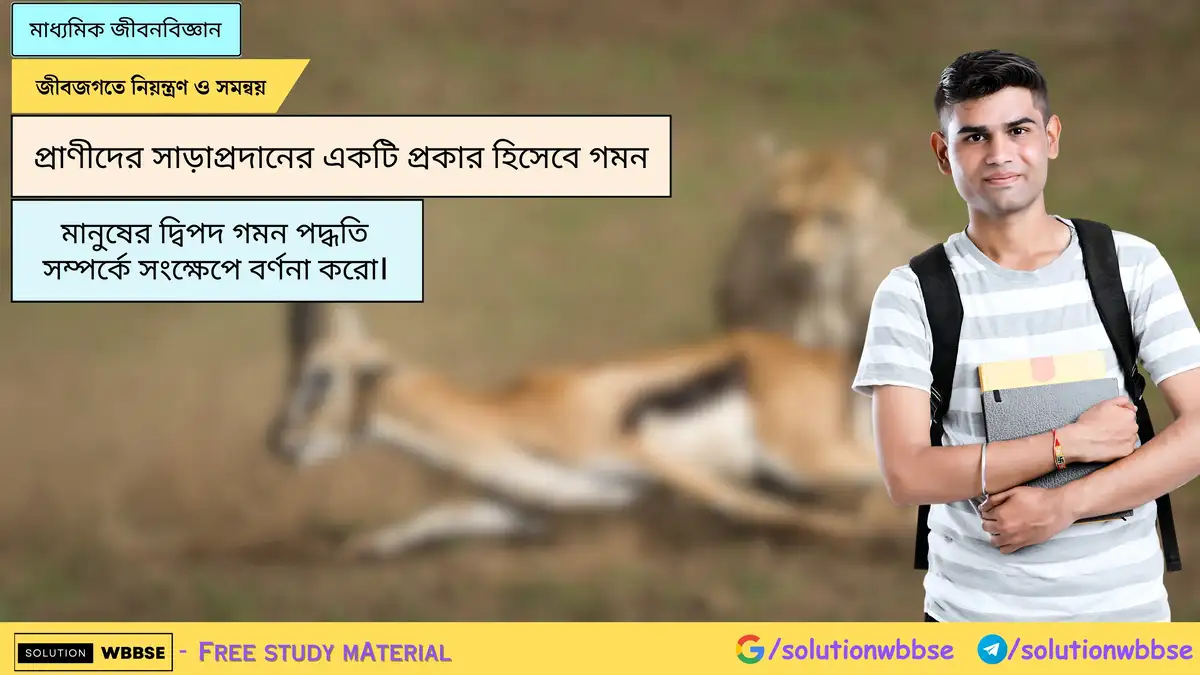 মানুষের দ্বিপদ গমন পদ্ধতি সম্পর্কে সংক্ষেপে বর্ণনা করো।