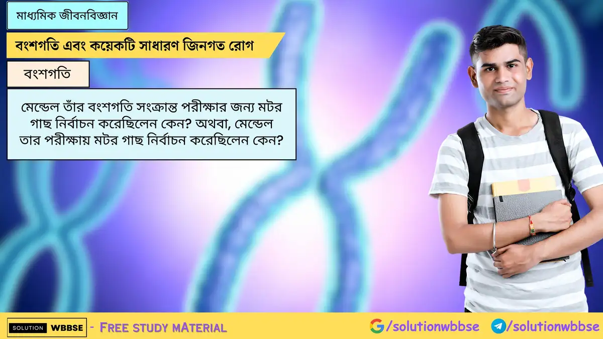 মেন্ডেল তাঁর বংশগতি সংক্রান্ত পরীক্ষার জন্য মটর গাছ নির্বাচন করেছিলেন কেন? অথবা, মেন্ডেল তার পরীক্ষায় মটর গাছ নির্বাচন করেছিলেন কেন?