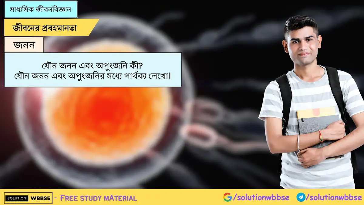 যৌন জনন এবং অপুংজনি কী? যৌন জনন এবং অপুংজনির মধ্যে পার্থক্য লেখো।