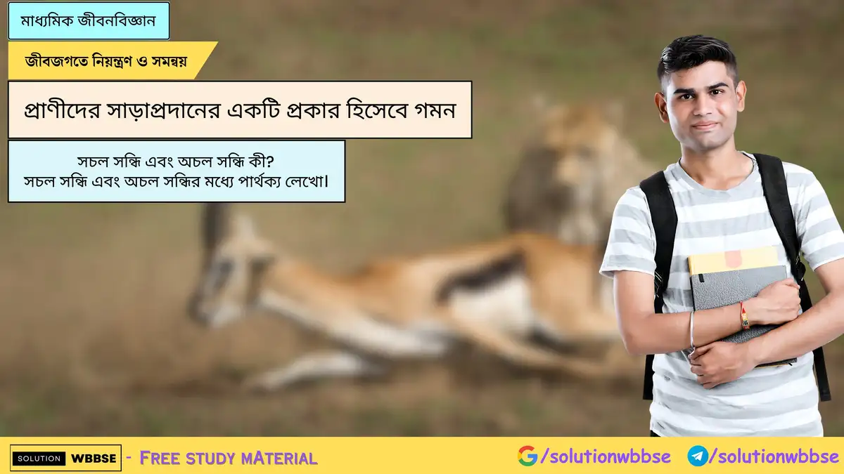 সচল সন্ধি এবং অচল সন্ধি কী? সচল সন্ধি এবং অচল সন্ধির মধ্যে পার্থক্য লেখো।