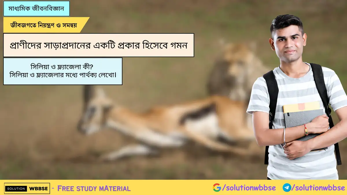 সিলিয়া ও ফ্ল্যাজেলা কী? সিলিয়া ও ফ্ল্যাজেলার মধ্যে পার্থক্য লেখো।