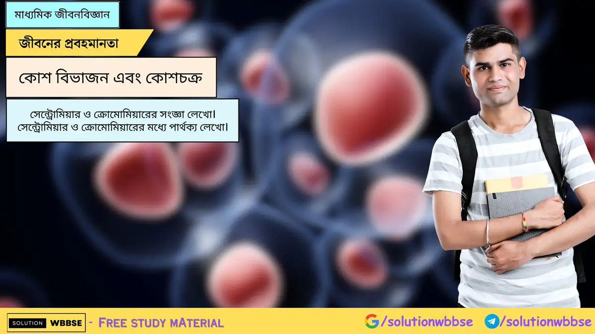 সেন্ট্রোমিয়ার ও ক্রোমোমিয়ারের সংজ্ঞা লেখো। সেন্ট্রোমিয়ার ও ক্রোমোমিয়ারের মধ্যে পার্থক্য লেখো।