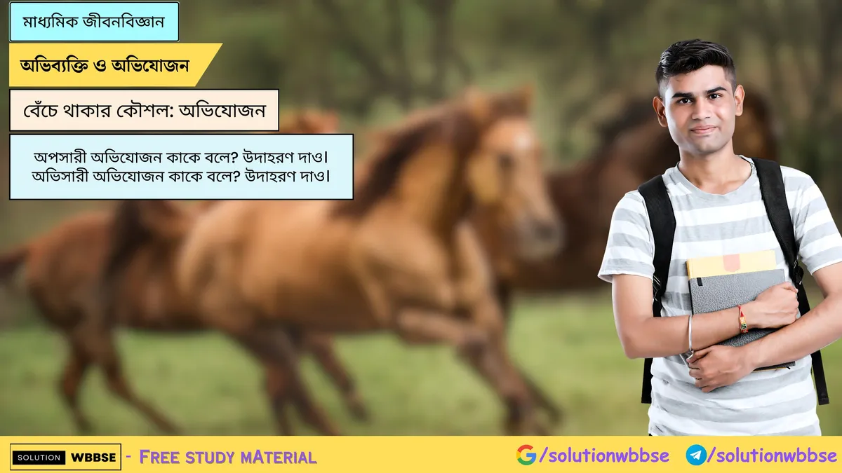 অপসারী অভিযোজন কাকে বলে? উদাহরণ দাও। অভিসারী অভিযোজন কাকে বলে? উদাহরণ দাও।