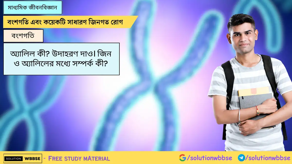 অ্যালিল কী? উদাহরণ দাও। জিন ও অ্যালিলের মধ্যে সম্পর্ক কী?