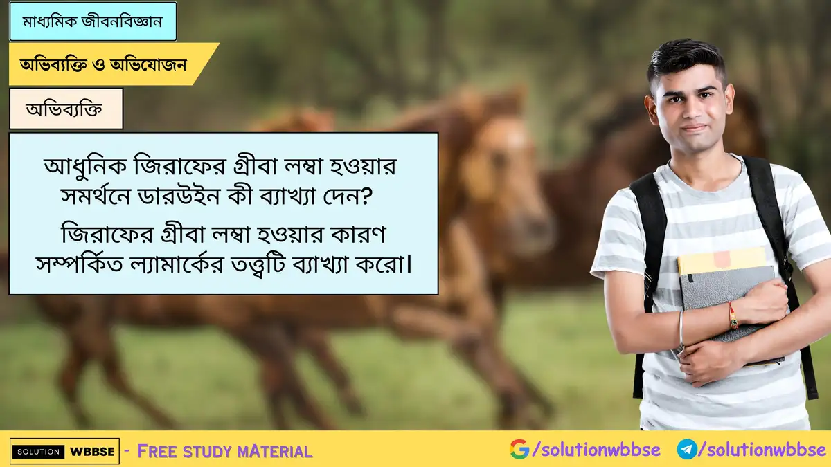 আধুনিক জিরাফের গ্রীবা লম্বা হওয়ার সমর্থনে ডারউইন কী ব্যাখ্যা দেন জিরাফের গ্রীবা লম্বা হওয়ার কারণ সম্পর্কিত ল্যামার্কের তত্ত্বটি ব্যাখ্যা করো।