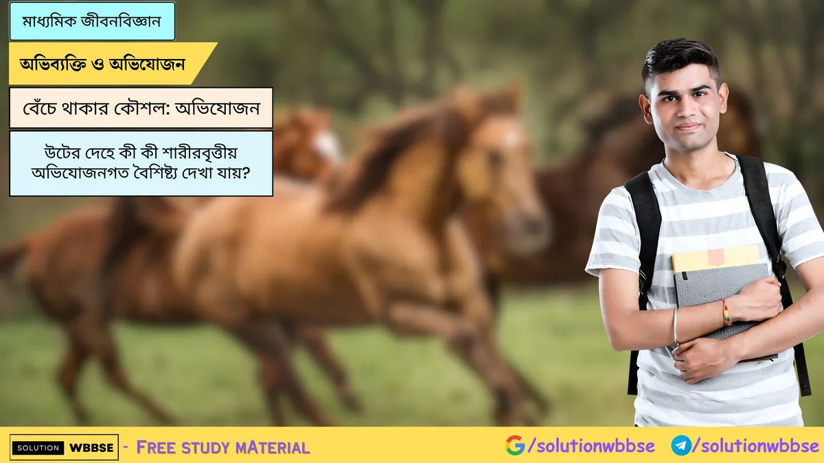 উটের দেহে কী কী শারীরবৃত্তীয় অভিযোজনগত বৈশিষ্ট্য দেখা যায়?