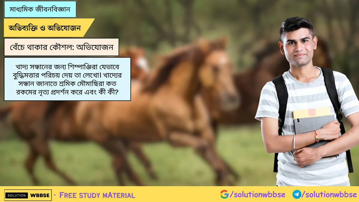 খাদ্য সন্ধানের জন্য শিম্পাঞ্জিরা যেভাবে বুদ্ধিমত্তার পরিচয় দেয় তা লেখো। খাদ্যের সন্ধান জানাতে শ্রমিক মৌমাছিরা কত রকমের নৃত্য প্রদর্শন করে এবং কী কী?