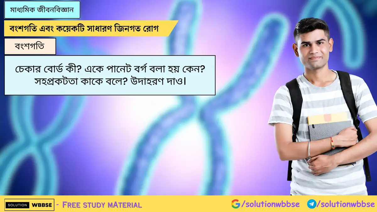 চেকার বোর্ড কী? একে পানেট বর্গ বলা হয় কেন? সহপ্রকটতা কাকে বলে? উদাহরণ দাও।