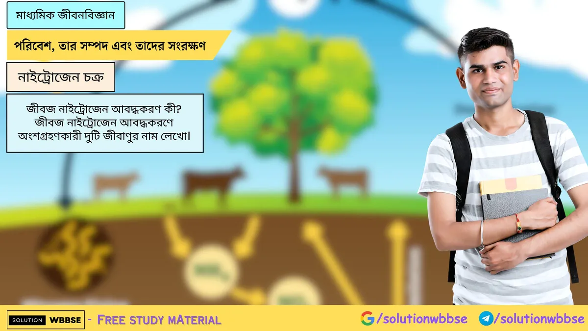 জীবজ নাইট্রোজেন আবদ্ধকরণ কী? জীবজ নাইট্রোজেন আবদ্ধকরণে অংশগ্রহণকারী দুটি জীবাণুর নাম লেখো।