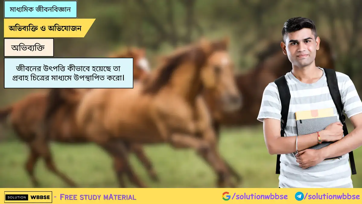 জীবনের উৎপত্তি কীভাবে হয়েছে তা প্রবাহ চিত্রের মাধ্যমে উপস্থাপিত করো। 1 জীবনের উৎপত্তি কীভাবে হয়েছে তা প্রবাহ চিত্রের মাধ্যমে উপস্থাপিত করো।