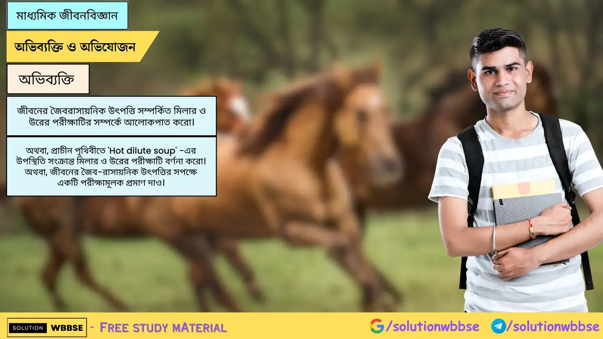 জীবনের জৈবরাসায়নিক উৎপত্তি সম্পর্কিত মিলার ও উরের পরীক্ষাটির সম্পর্কে আলোকপাত করো। 1 জীবনের জৈবরাসায়নিক উৎপত্তি সম্পর্কিত মিলার ও উরের পরীক্ষাটির সম্পর্কে আলোকপাত করো।