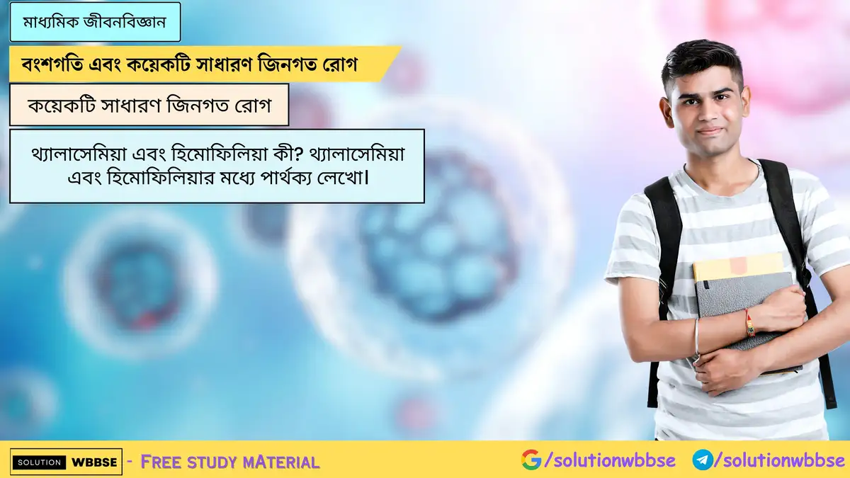 থ্যালাসেমিয়া এবং হিমোফিলিয়া কী? থ্যালাসেমিয়া এবং হিমোফিলিয়ার মধ্যে পার্থক্য লেখো।
