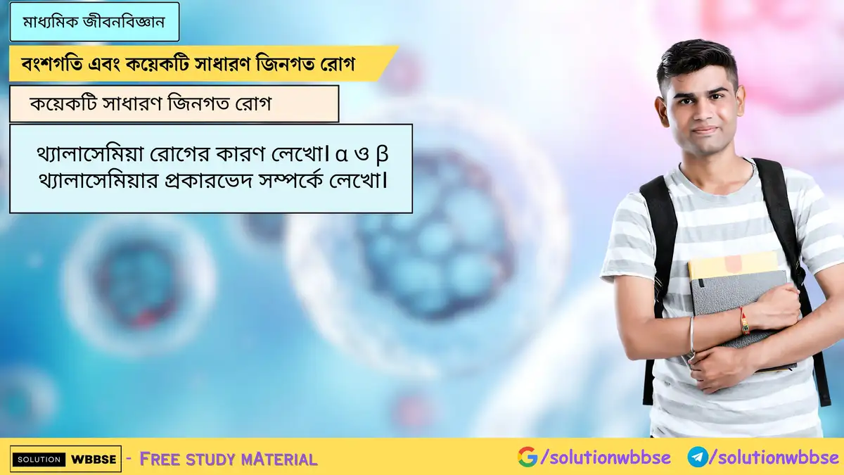 থ্যালাসেমিয়া রোগের কারণ লেখো। α ও β থ্যালাসেমিয়ার প্রকারভেদ সম্পর্কে লেখো।