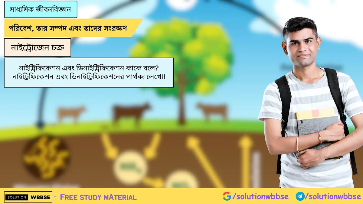 নাইট্রিফিকেশন এবং ডিনাইট্রিফিকেশন কাকে বলে? নাইট্রিফিকেশন এবং ডিনাইট্রিফিকেশনের পার্থক্য লেখো।