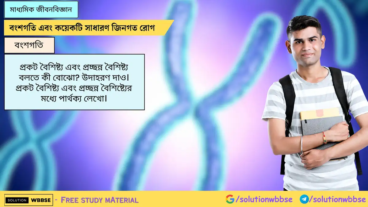 প্রকট বৈশিষ্ট্য এবং প্রচ্ছন্ন বৈশিষ্ট্য বলতে কী বোঝো? উদাহরণ দাও। প্রকট বৈশিষ্ট্য এবং প্রচ্ছন্ন বৈশিষ্ট্যের মধ্যে পার্থক্য লেখো।
