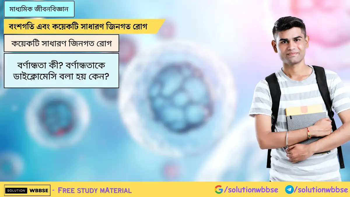 বর্ণান্ধতা কী? বর্ণান্ধতাকে ডাইক্লোমেসি বলা হয় কেন?