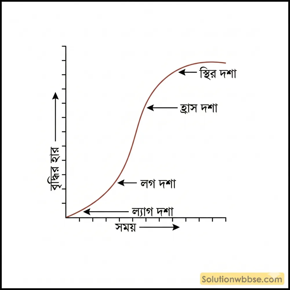 বৃদ্ধির হার কাকে বলে? বৃদ্ধির হারের পর্যায়ক্রমিক লেখচিত্র 2 বৃদ্ধির হারের পর্যায়ক্রমিক লেখচিত্র