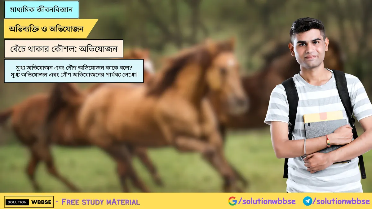 মুখ্য অভিযোজন এবং গৌণ অভিযোজন কাকে বলে? মুখ্য অভিযোজন এবং গৌণ অভিযোজনের পার্থক্য লেখো।