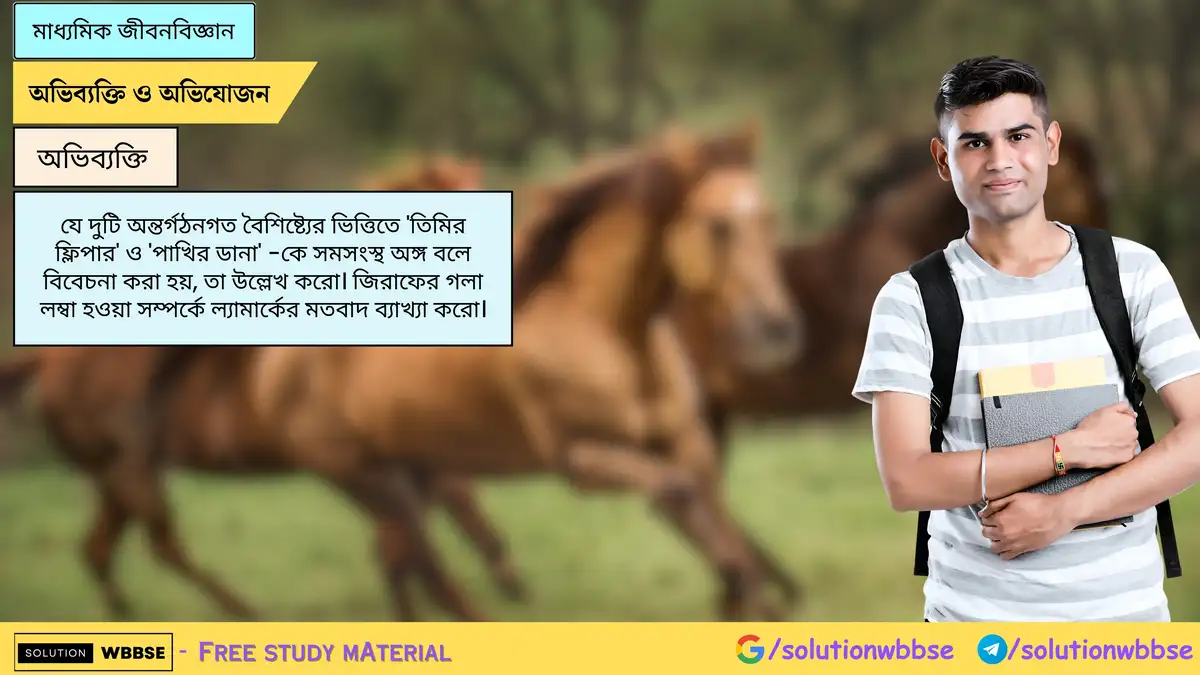 তিমির ফ্লিপার ও পাখির ডানা সমসংস্থ অঙ্গ কেন? | ল্যামার্কের মতবাদ | মাধ্যমিক জীবনবিজ্ঞান 1 যে দুটি অন্তর্গঠনগত বৈশিষ্ট্যের ভিত্তিতে 'তিমির ফ্লিপার' ও 'পাখির ডানা' -কে সমসংস্থ অঙ্গ বলে বিবেচনা করা হয়, তা উল্লেখ করো। জিরাফের গলা লম্বা হওয়া সম্পর্কে ল্যামার্কের মতবাদ ব্যাখ্যা করো।