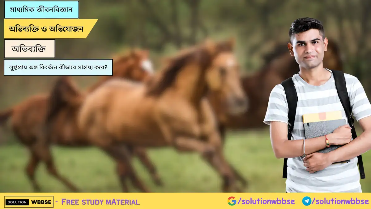 লুপ্তপ্রায় অঙ্গ বিবর্তনে কীভাবে সাহায্য করে? | মাধ্যমিক জীবনবিজ্ঞান 1 লুপ্তপ্রায় অঙ্গ বিবর্তনে কীভাবে সাহায্য করে?