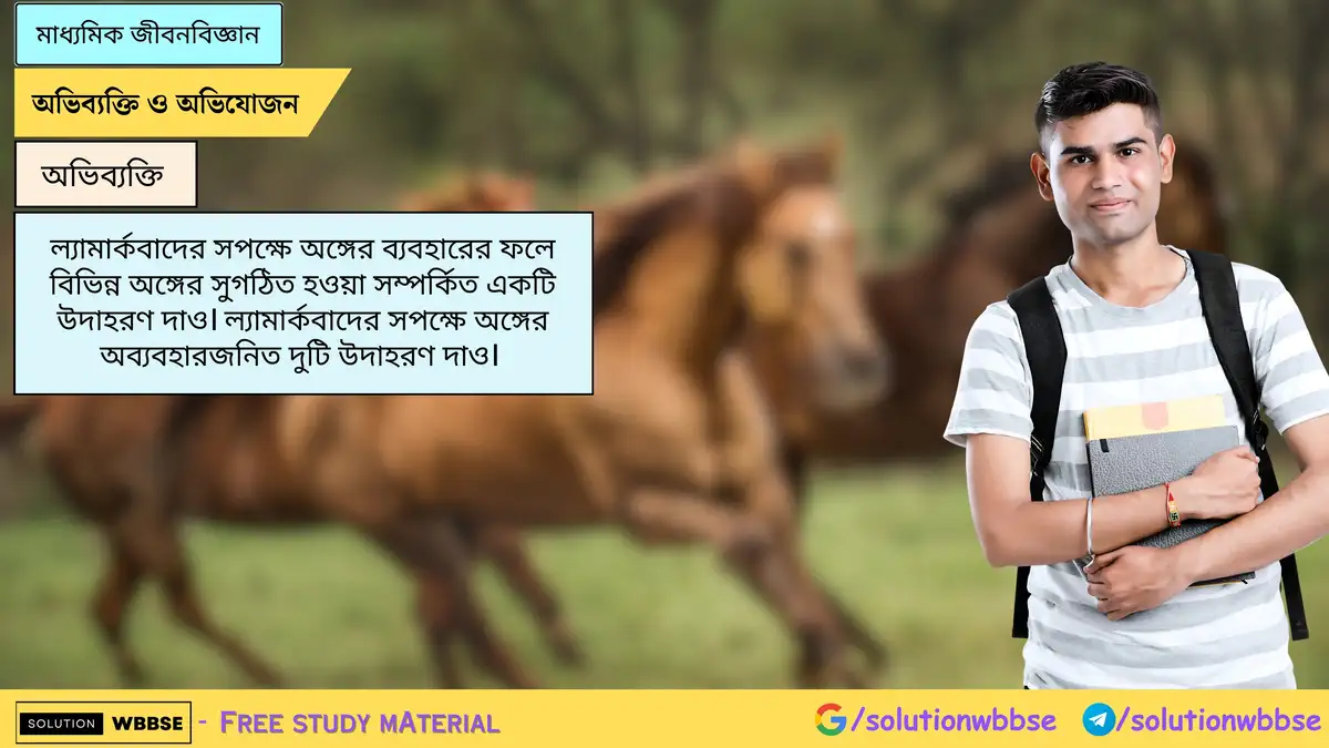 ল্যামার্কবাদের সপক্ষে অঙ্গের ব্যবহারের ফলে বিভিন্ন অঙ্গের সুগঠিত হওয়া সম্পর্কিত একটি উদাহরণ দাও। ল্যামার্কবাদের সপক্ষে অঙ্গের অব্যবহারজনিত দুটি উদাহরণ দাও। 