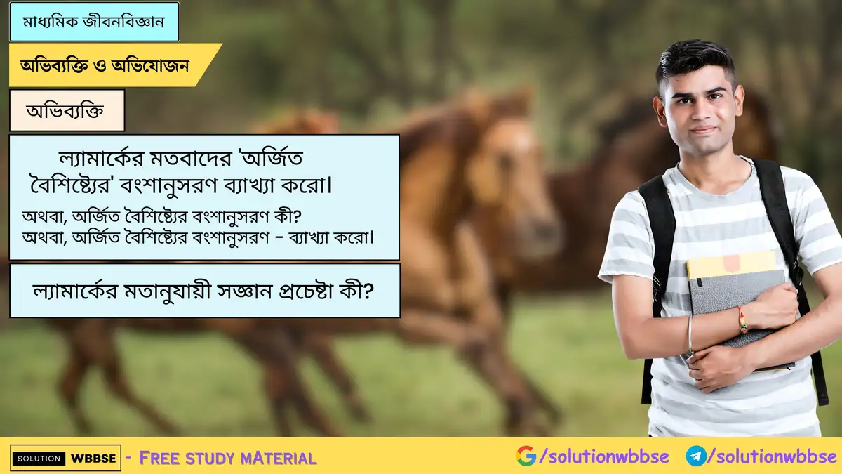 ল্যামার্কের মতবাদের 'অর্জিত বৈশিষ্ট্যের' বংশানুসরণ ব্যাখ্যা করো। ল্যামার্কের মতানুযায়ী সজ্ঞান প্রচেষ্টা কী?