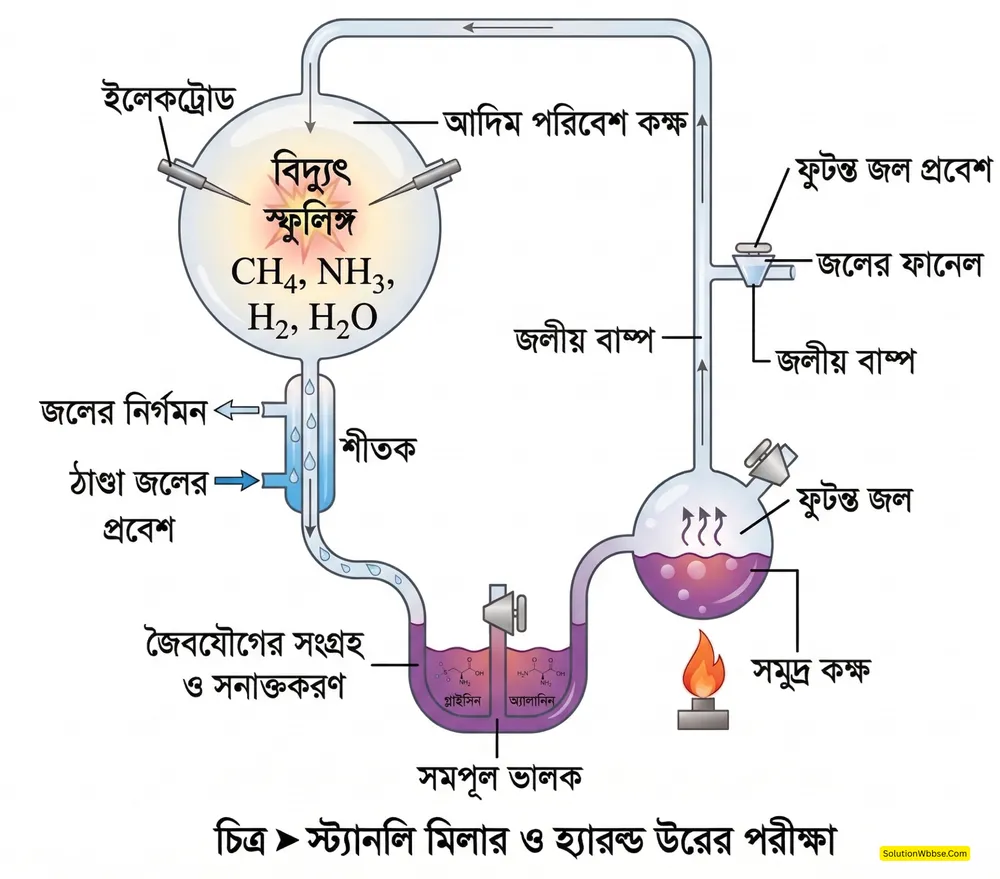 জীবনের জৈবরাসায়নিক উৎপত্তি সম্পর্কিত মিলার ও উরের পরীক্ষাটির সম্পর্কে আলোকপাত করো। 2 Diagram of Miller and Urey's experiment showing the biochemical origin of life in Bengali