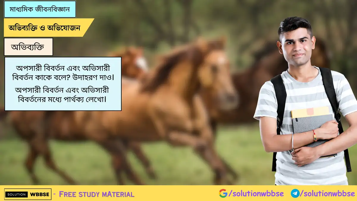 অপসারী বিবর্তন এবং অভিসারী বিবর্তন কাকে বলে? উদাহরণ দাও। অপসারী বিবর্তন এবং অভিসারী বিবর্তনের মধ্যে পার্থক্য লেখো।