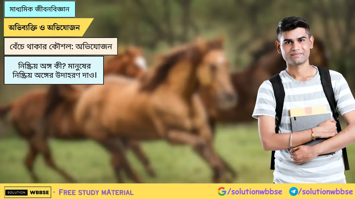 অভিযোজন কাকে বলে? অভিযোজনের উদ্দেশ্যগুলি লেখো।