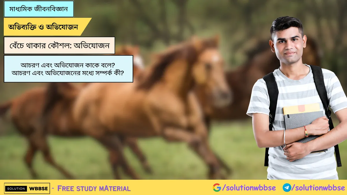 আচরণ এবং অভিযোজন কাকে বলে? আচরণ এবং অভিযোজনের মধ্যে সম্পর্ক কী?