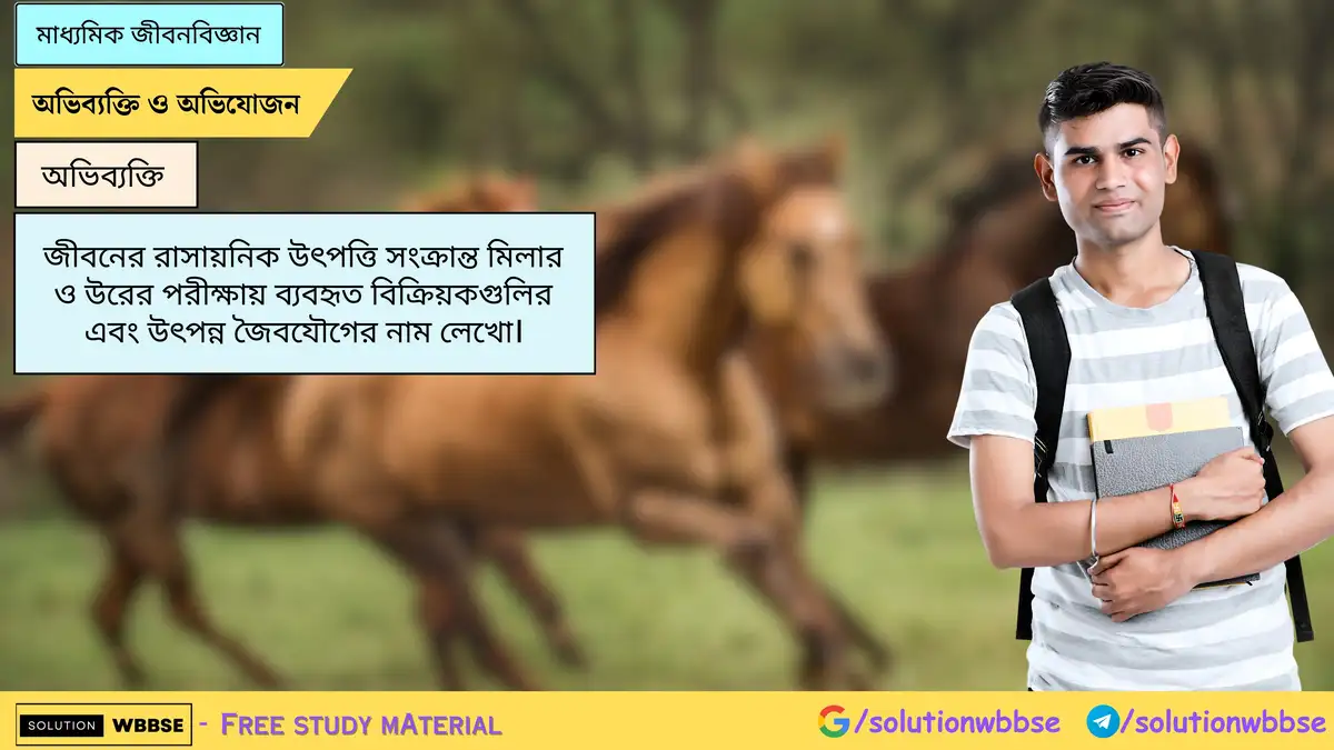 জীবনের রাসায়নিক উৎপত্তি সংক্রান্ত মিলার ও উরের পরীক্ষায় ব্যবহৃত বিক্রিয়কগুলির এবং উৎপন্ন জৈবযৌগের নাম লেখো।