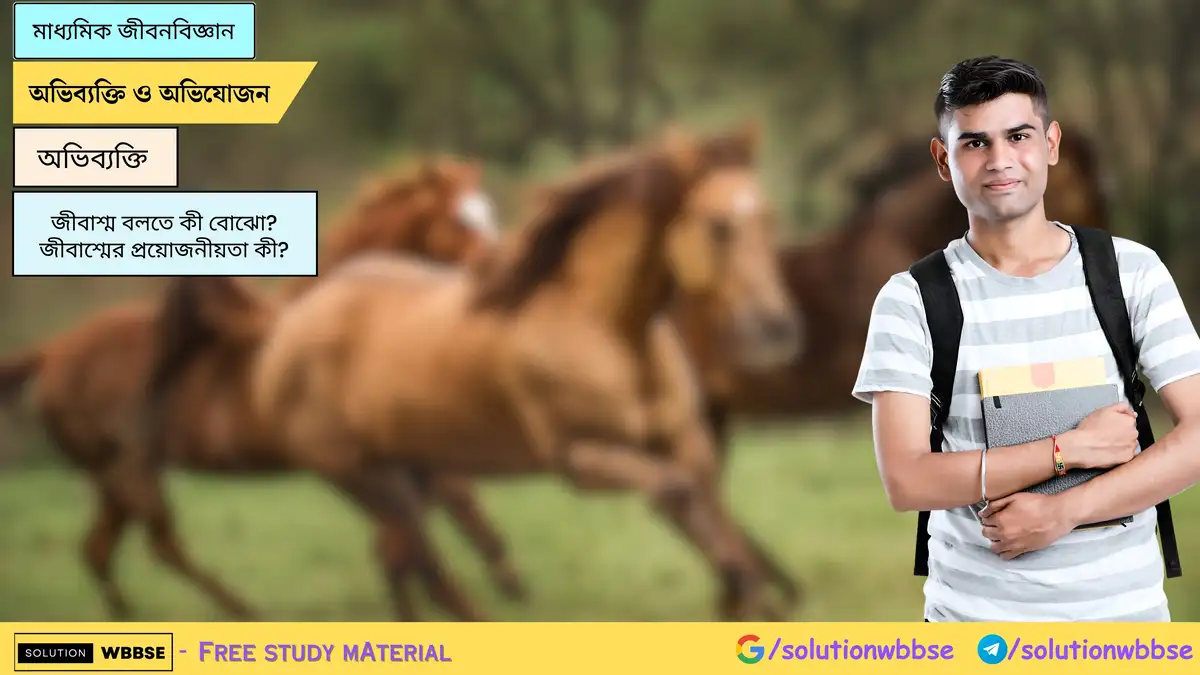 জীবাশ্ম বলতে কী বোঝো? জীবাশ্মের প্রয়োজনীয়তা কী?