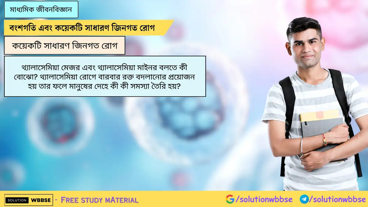 থ্যালাসেমিয়া মেজর এবং থ্যালাসেমিয়া মাইনর বলতে কী বোঝো? থ্যালাসেমিয়া রোগে বারবার রক্ত বদলানোর প্রয়োজন হয় তার ফলে মানুষের দেহে কী কী সমস্যা তৈরি হয়?