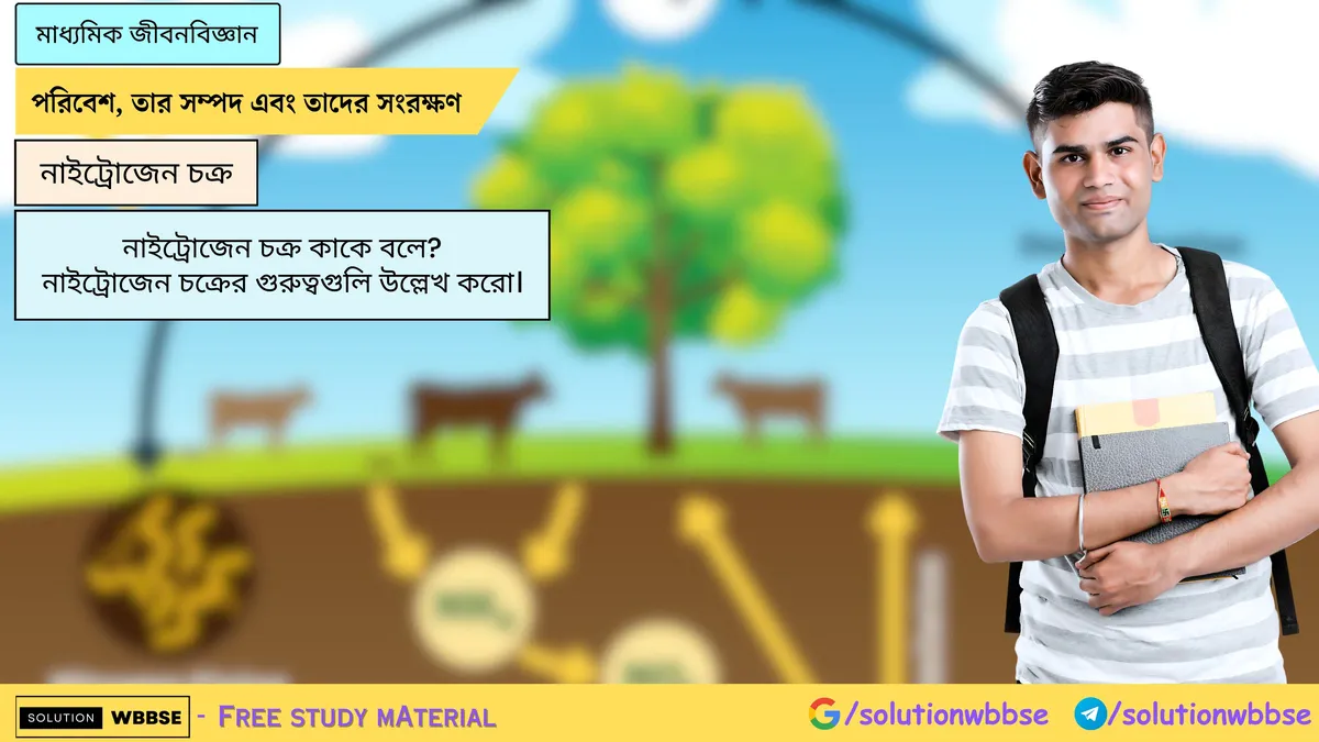 নাইট্রোজেন স্থিতিকরণ কাকে বলে? শিল্পজাত উপায়ে কীভাবে নাইট্রোজেনের স্থিতিকরণ ঘটে?