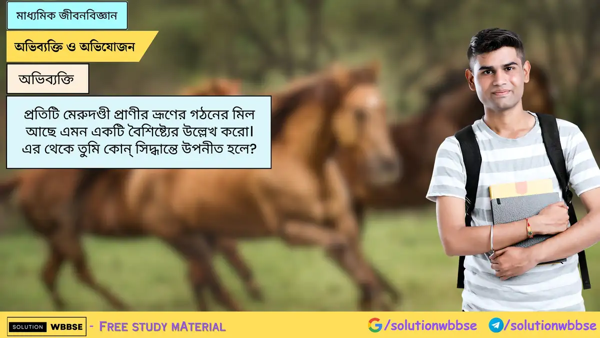 প্রতিটি মেরুদণ্ডী প্রাণীর ভ্রূণের গঠনের মিল আছে এমন একটি বৈশিষ্ট্যের উল্লেখ করো। এর থেকে তুমি কোন্ সিদ্ধান্তে উপনীত হলে?