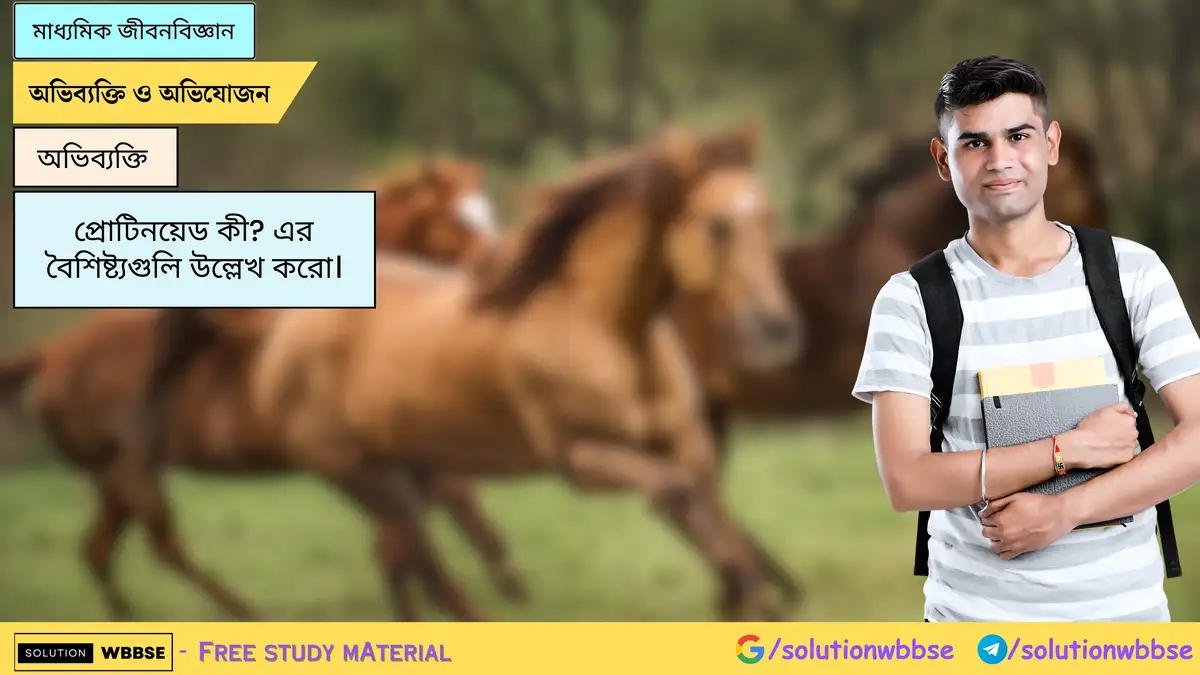 প্রোটিনয়েড কী? এর বৈশিষ্ট্যগুলি উল্লেখ করো।