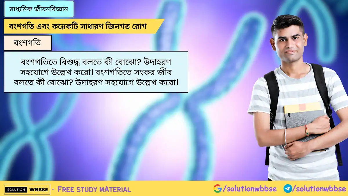 বংশগতিতে বিশুদ্ধ বলতে কী বোঝো? উদাহরণ সহযোগে উল্লেখ করো। বংশগতিতে সংকর জীব বলতে কী বোঝো? উদাহরণ সহযোগে উল্লেখ করো।