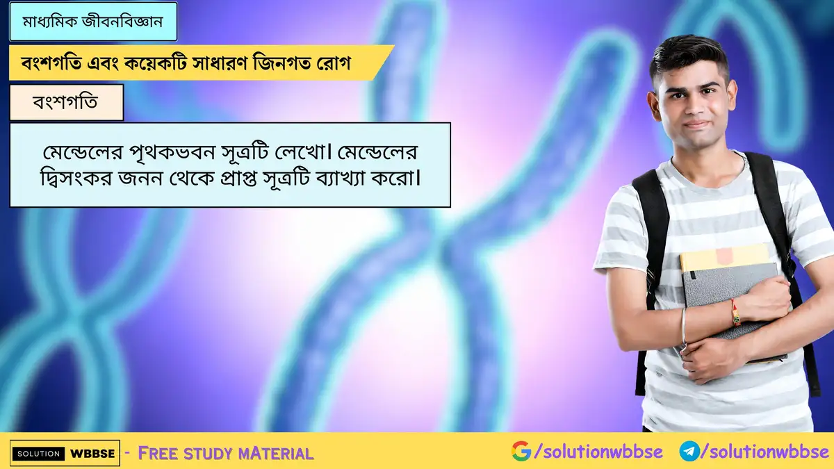মেন্ডেলের পৃথকভবন সূত্রটি লেখো। মেন্ডেলের দ্বিসংকর জনন থেকে প্রাপ্ত সূত্রটি ব্যাখ্যা করো।