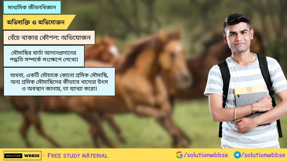 মৌমাছির বার্তা আদানপ্রদানের পদ্ধতি সম্পর্কে সংক্ষেপে লেখো।