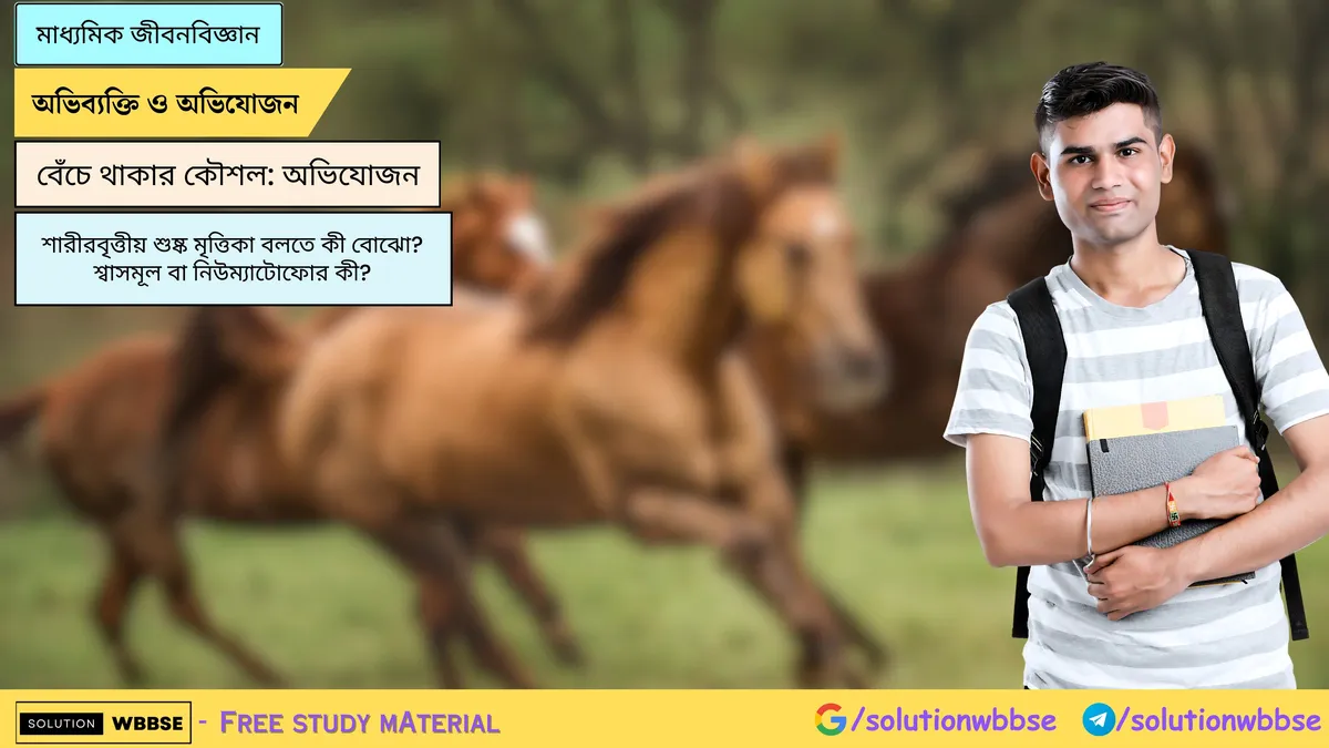 শারীরবৃত্তীয় শুষ্ক মৃত্তিকা বলতে কী বোঝো? শ্বাসমূল বা নিউম্যাটোফোর কী?