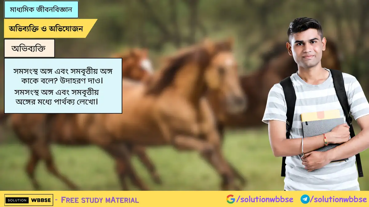 সমসংস্থ অঙ্গ এবং সমবৃত্তীয় অঙ্গ কাকে বলে? উদাহরণ দাও। সমসংস্থ অঙ্গ এবং সমবৃত্তীয় অঙ্গের মধ্যে পার্থক্য লেখো।