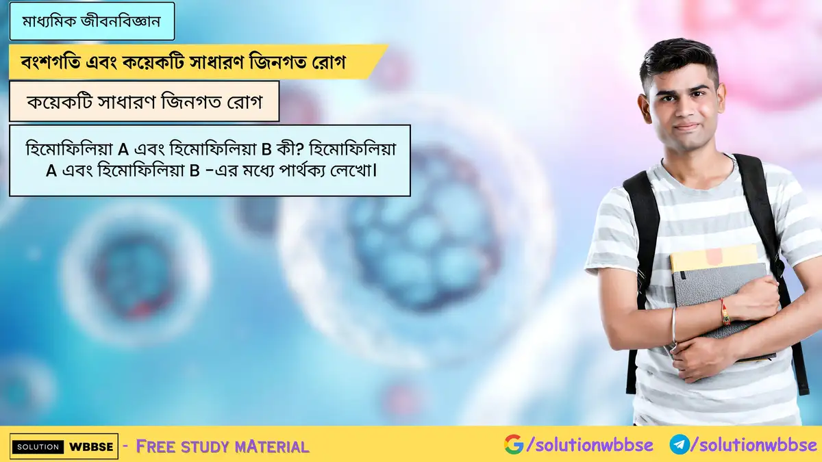 হিমোফিলিয়া A এবং হিমোফিলিয়া B কী? হিমোফিলিয়া A এবং হিমোফিলিয়া B -এর মধ্যে পার্থক্য লেখো।