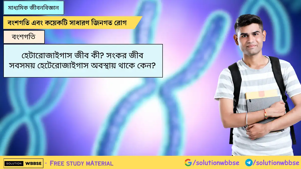 হেটারোজাইগাস জীব কী? সংকর জীব সবসময় হেটেরোজাইগাস অবস্থায় থাকে কেন?