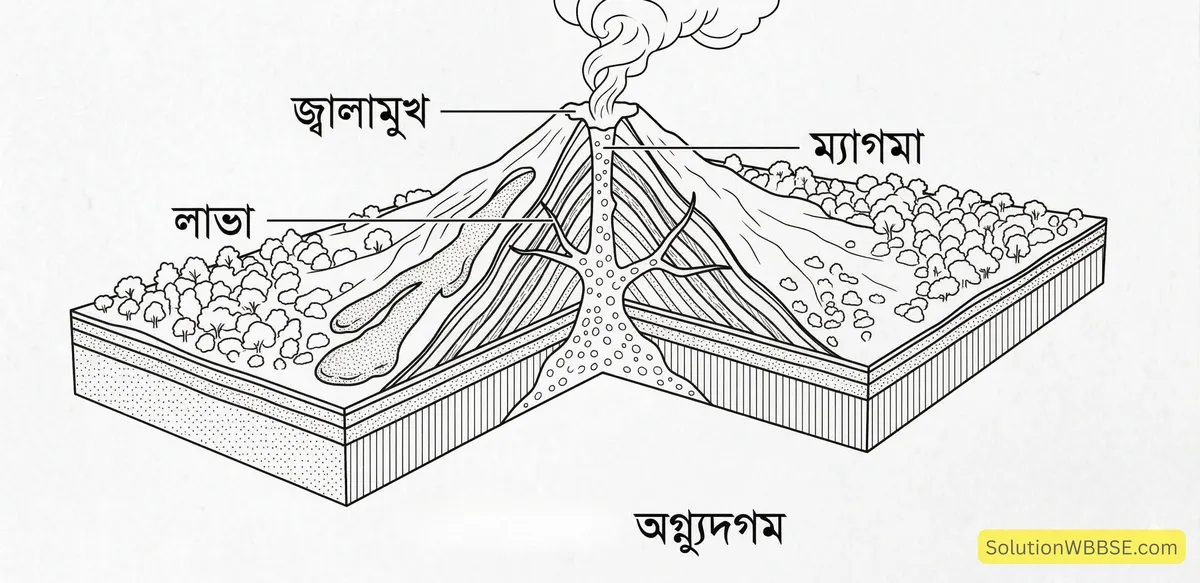 অষ্টম শ্রেণি ভূগোল - অস্থিত পৃথিবী - অগ্ন্যুদ্গম - রচনাধর্মী প্রশ্ন ও উত্তর 1 অগ্ন্যুদ্গম