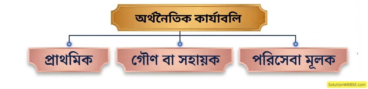 অর্থনৈতিক কার্যাবলি