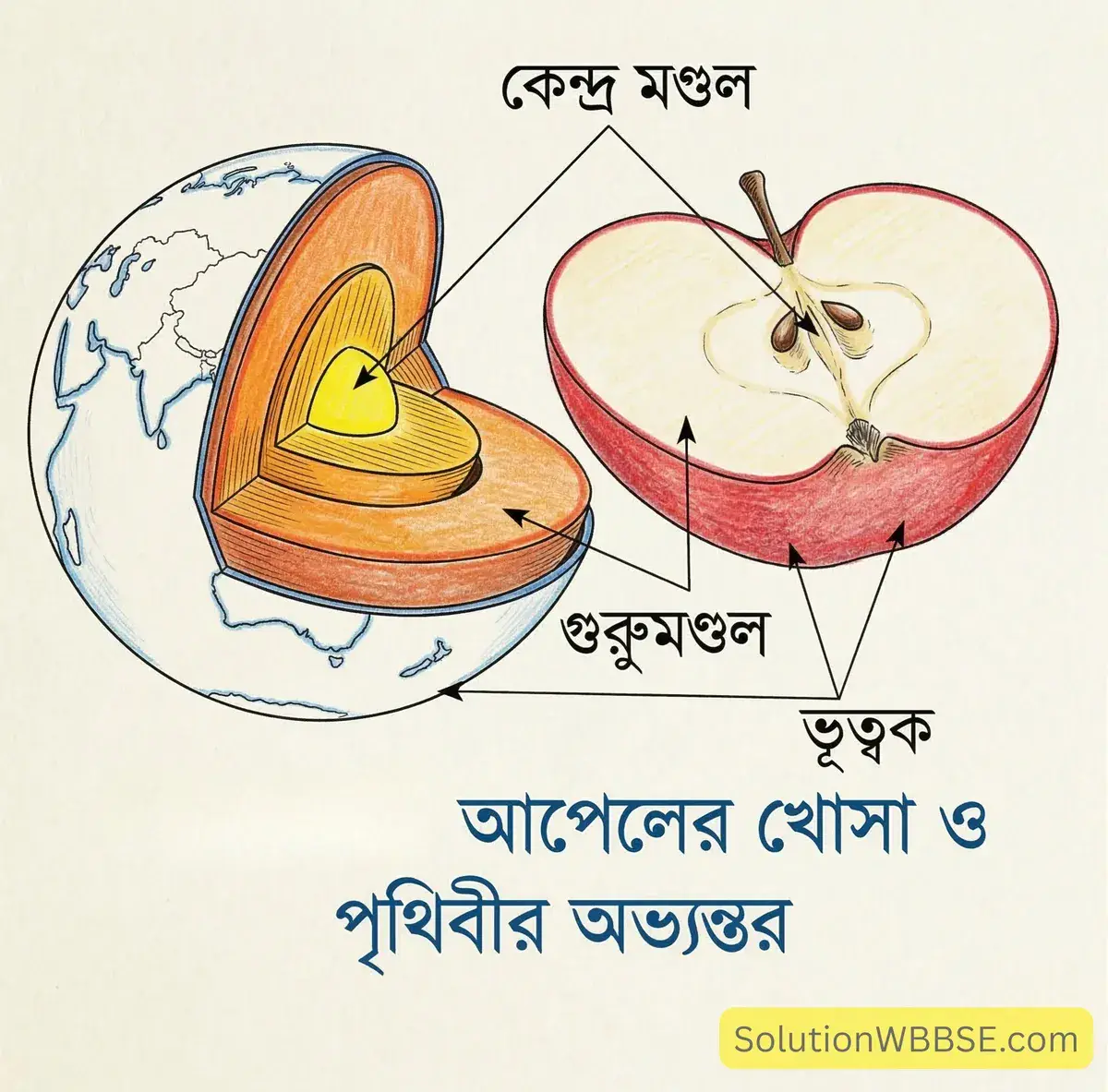 অষ্টম শ্রেণির ভূগোল: পৃথিবীর অন্দরমহল (প্রথম অধ্যায়) – ব্যাখ্যামূলক প্রশ্ন ও উত্তর 4 আপেলের খোসা ও পৃথিবীর অভ্যন্তর