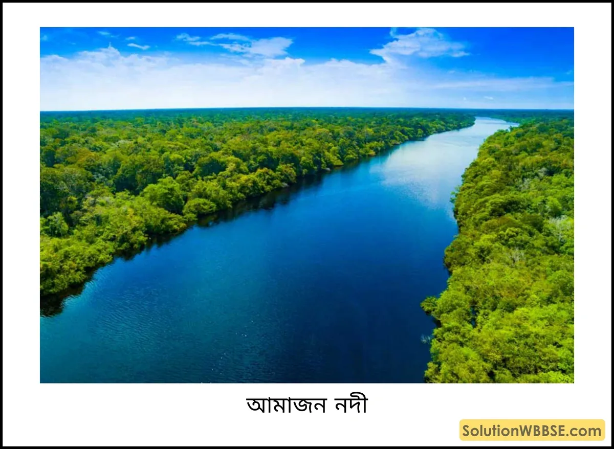 আমাজন নদী