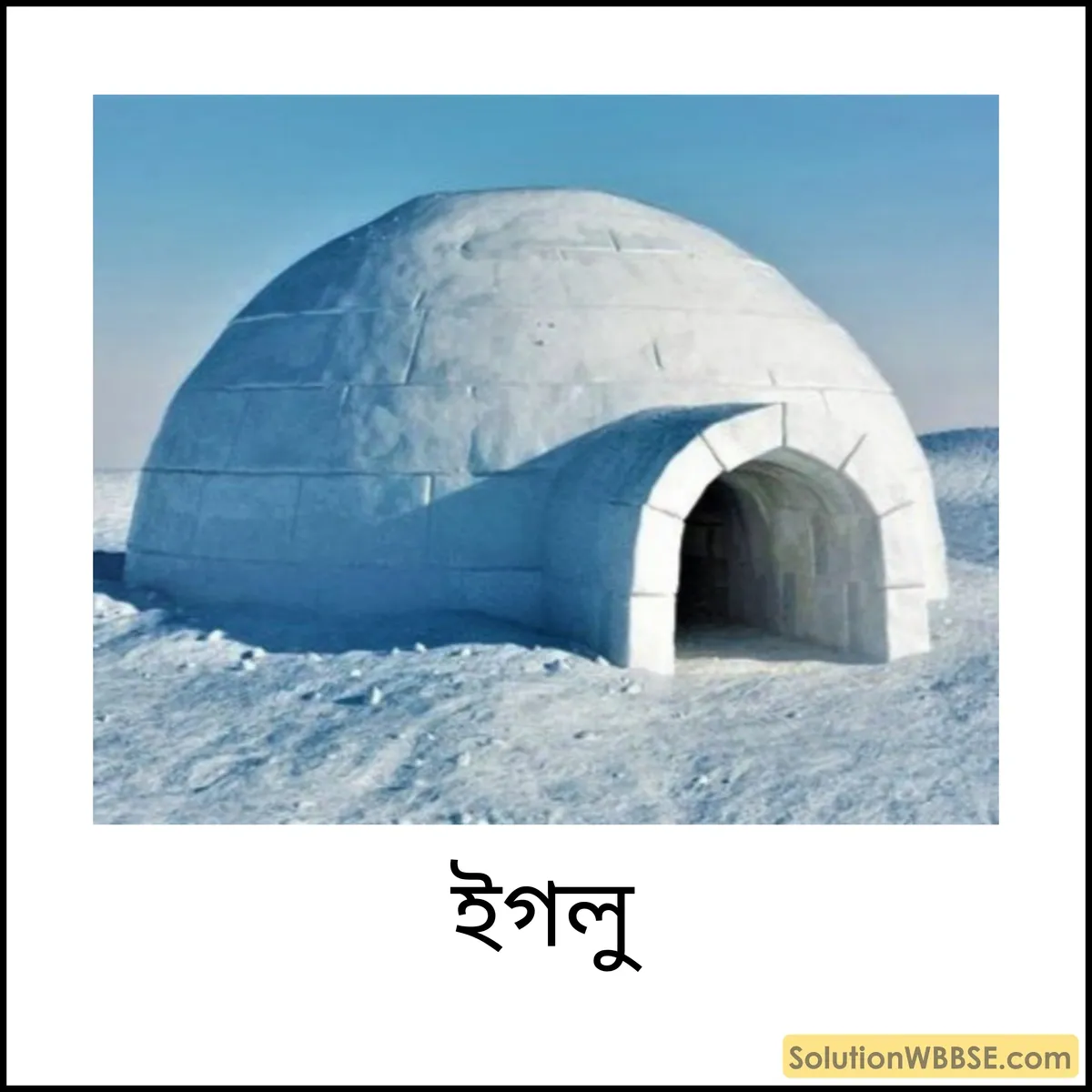 ইগলু