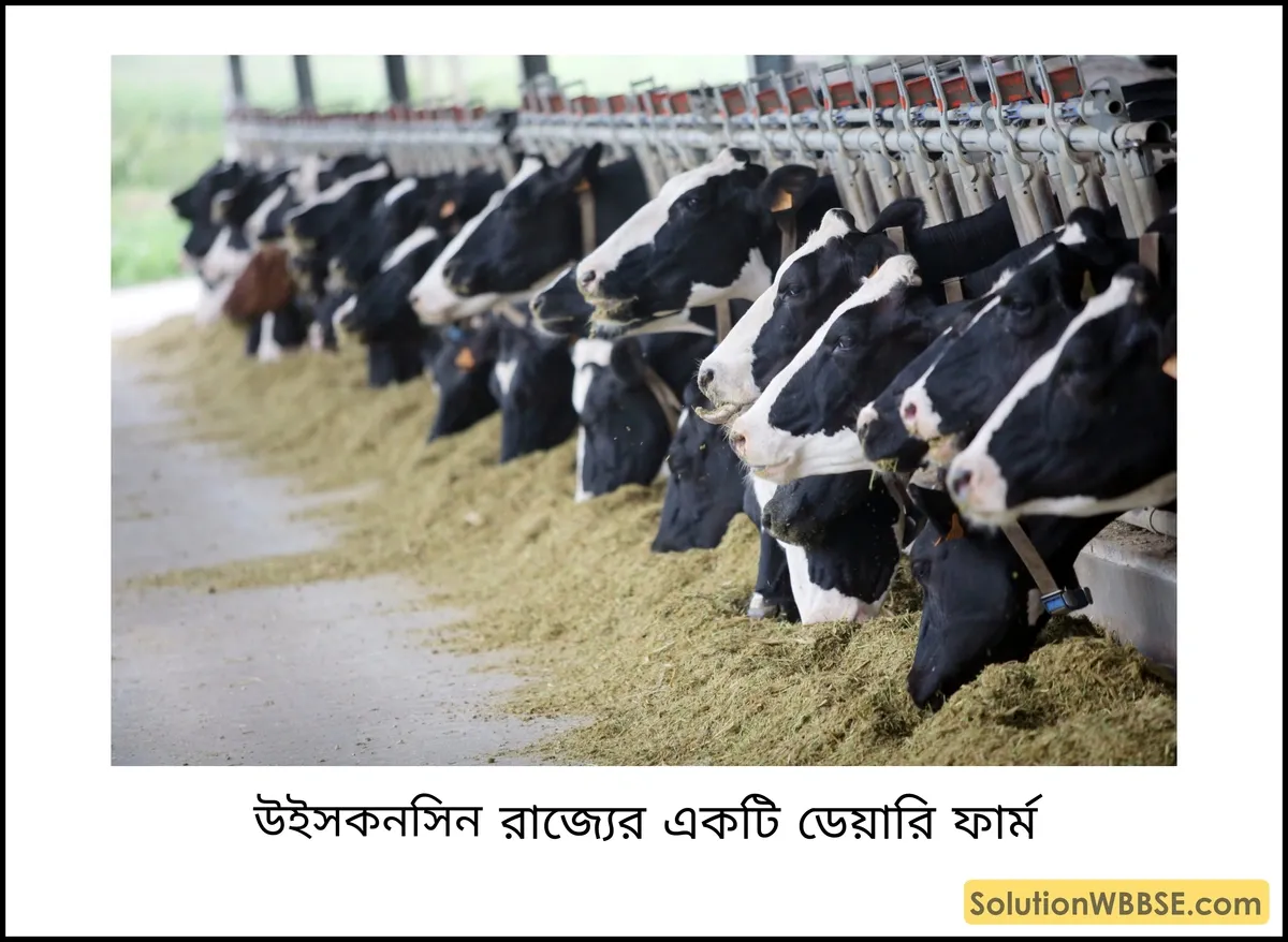 উইসকনসিন রাজ্যের একটি ডেয়ারি ফার্ম