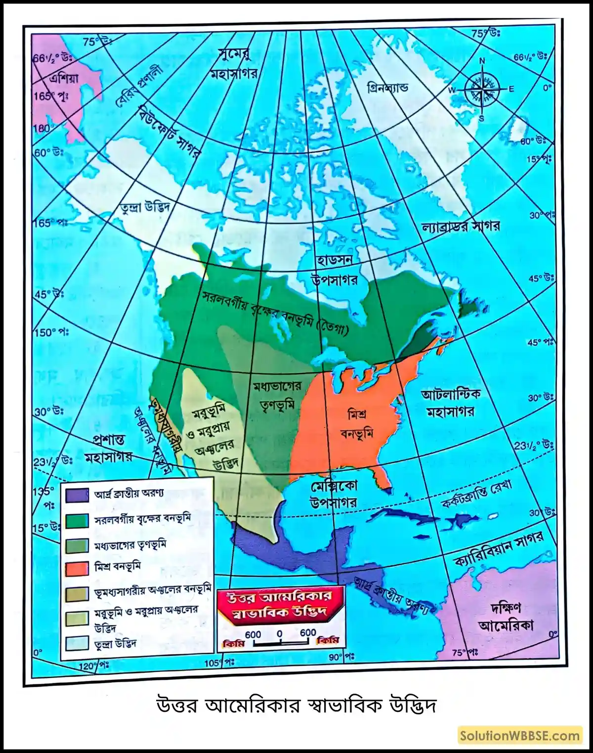 উত্তর আমেরিকার স্বাভাবিক উদ্ভিদ